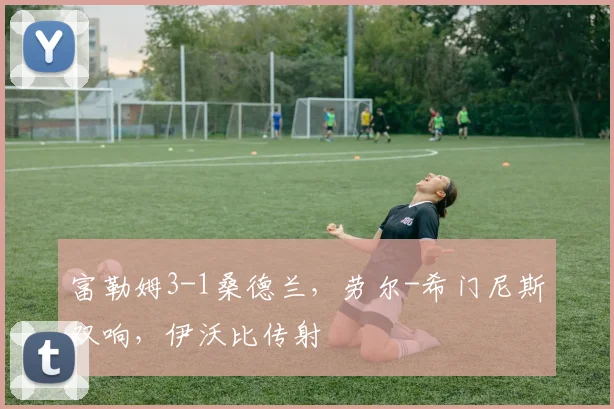 富勒姆3-1桑德兰，劳尔-希门尼斯双响，伊沃比传射